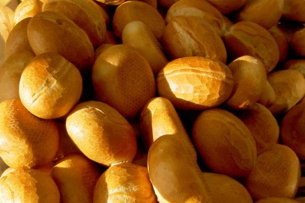 Protesters occupy Shoprite, demand lower bread price
